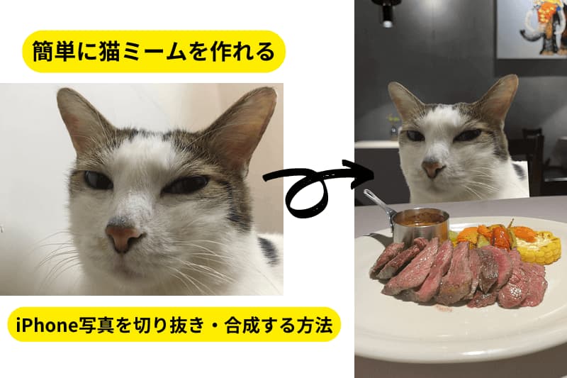 iPhone写真を切り抜き・合成するって超簡単!アプリなしでできる