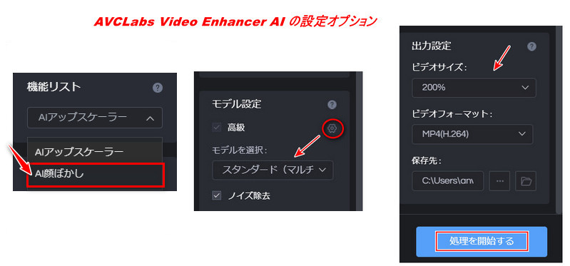 AVCLabs 顔ぼかしの設定詳細