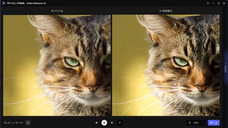 ペット動画を高画質化にカラー化する
