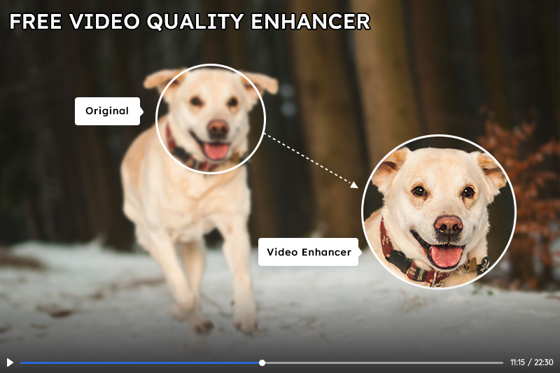 AIビデオエンハンサー：動画を高画質化できる無料のAIアプリベスト4